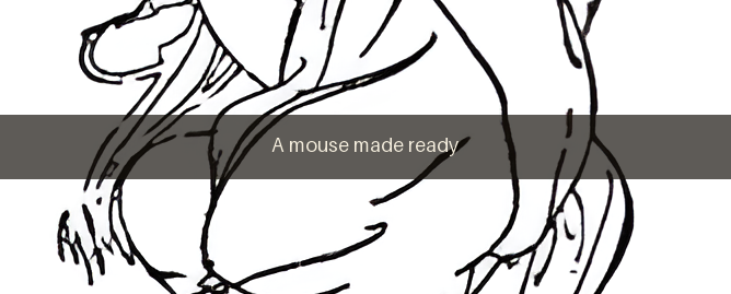 A mouse made ready — マグ（ラップ） texture